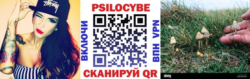 Псилоцибиновые грибы Psilocybine cubensis  Сибай 